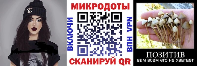 shop состав  где купить наркотик  Курильск  Псилоцибиновые грибы прущие грибы 